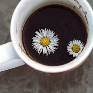 Warum schmeckt ein Blümchenkaffee nicht?
