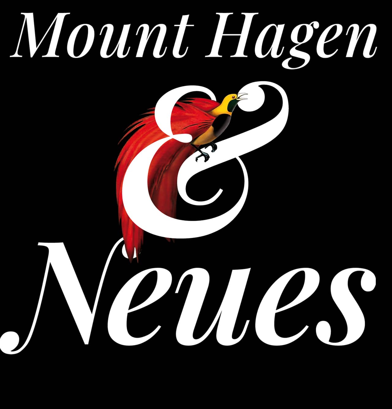 Newsletter Mount Hagen Und Neues 2010