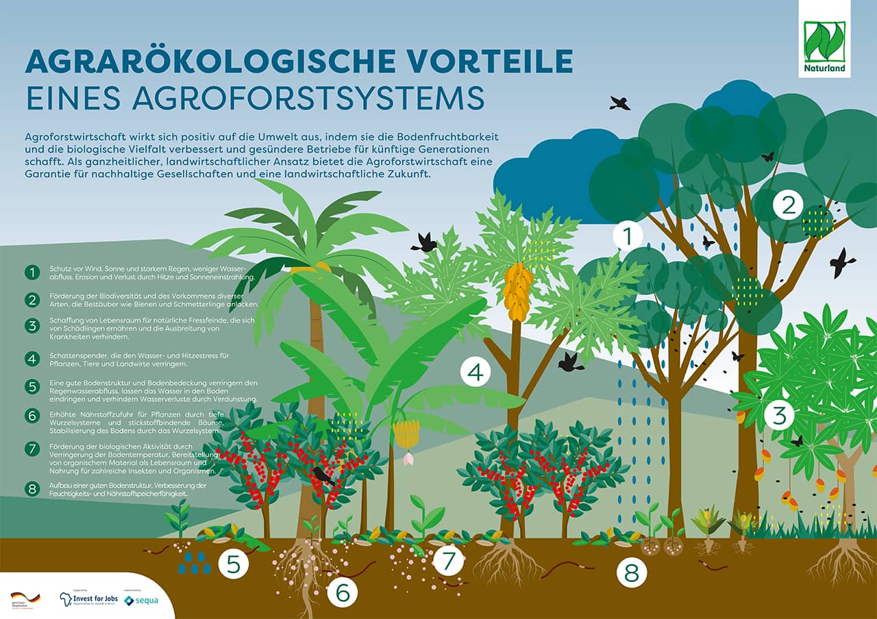 Ueber Agroforst Berufung Und Bescheidenheit 2711B